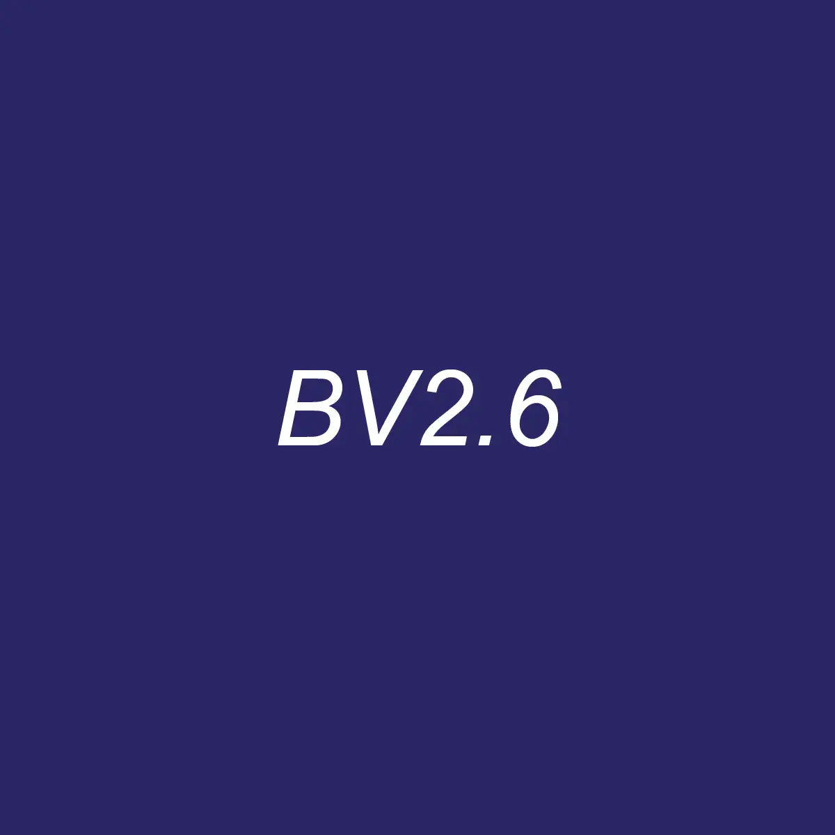 OLO Brush BV2.6 Indigo