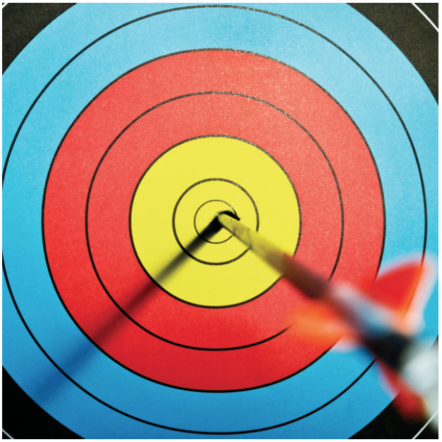 SC Archery - Sports Up-Close paper (12 x 12)