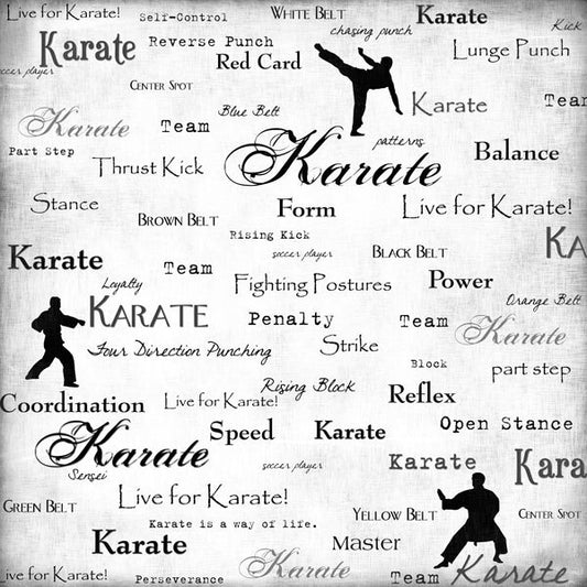 Stamping Station Karate - Live For 12 x 12 Patterned Scrapbook Paper
