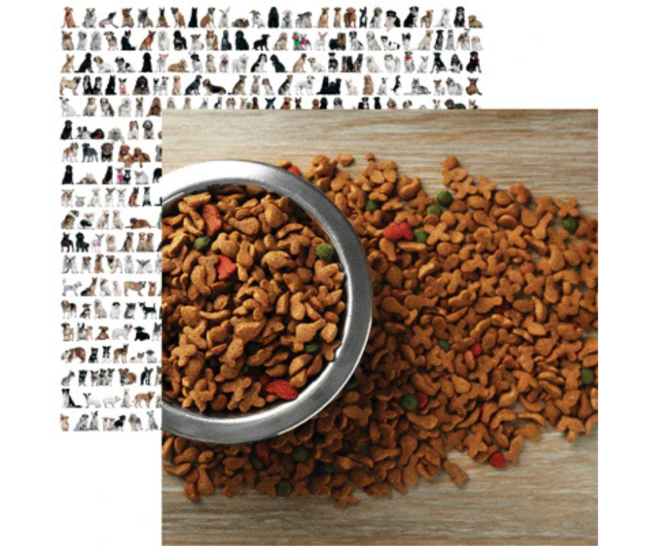 Love My Dog Double-Sided Cardstock 12"X12"- Select Style