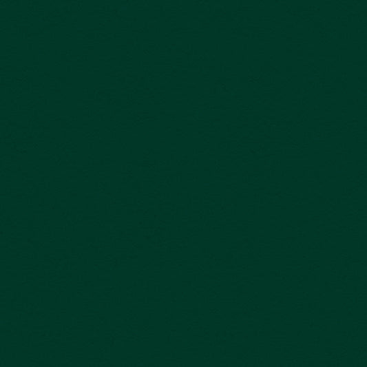 My Colors Classic 80lb Cover Weight Cardstock 12"X12"-Forest Green