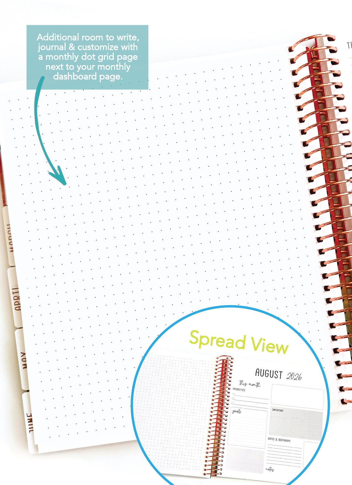 2026 Planner - Signature Layout, Spiral Bound - "Periwinkle" (#209)