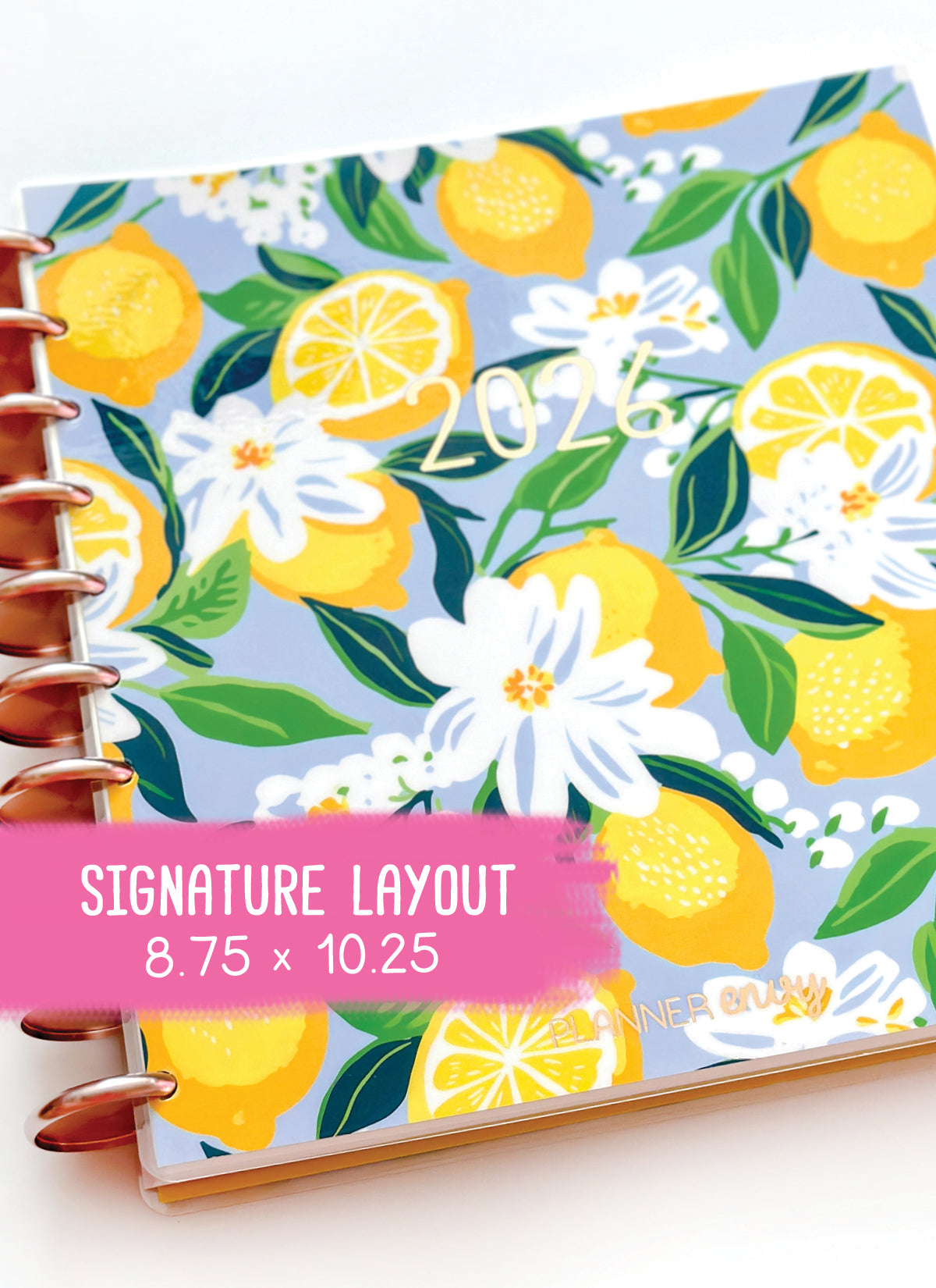 2026 Planner - Signature Layout, Disc Bound - "Sorrento" (#801)