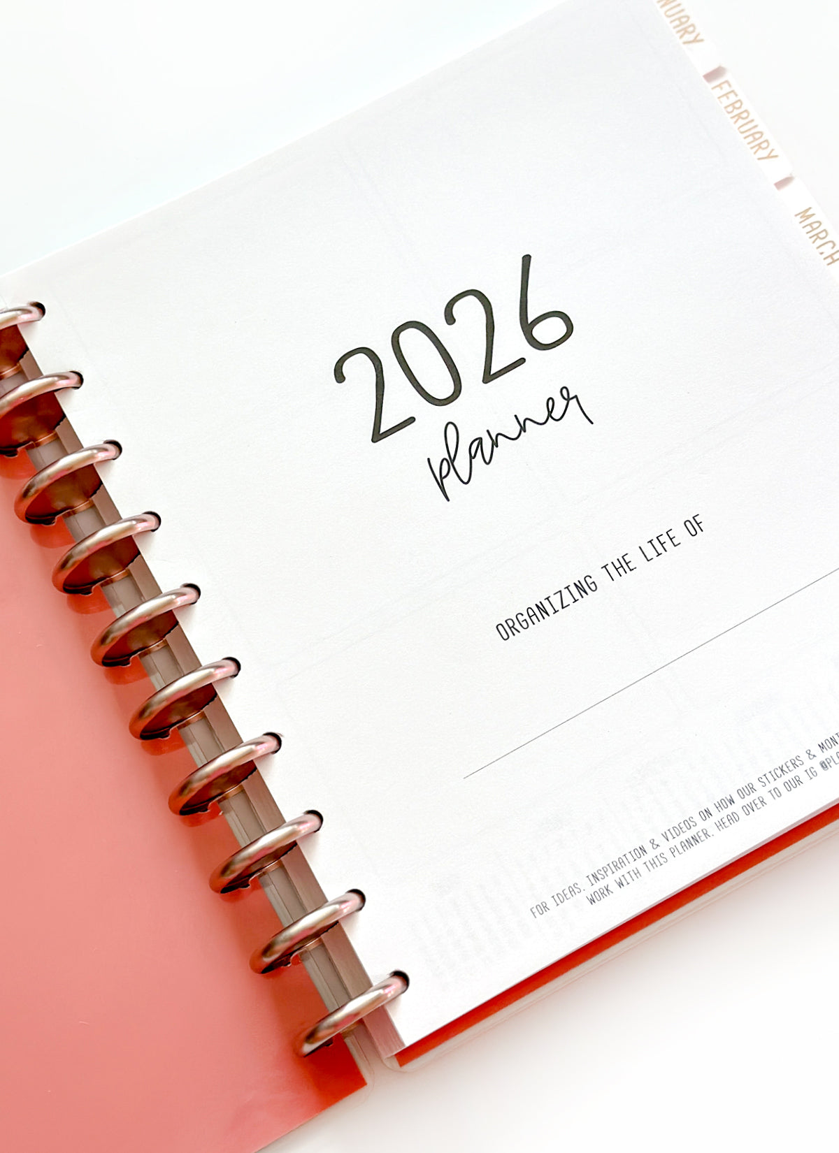 2026 Planner - Signature Layout, Disc Bound - "Whimsical" (#802)