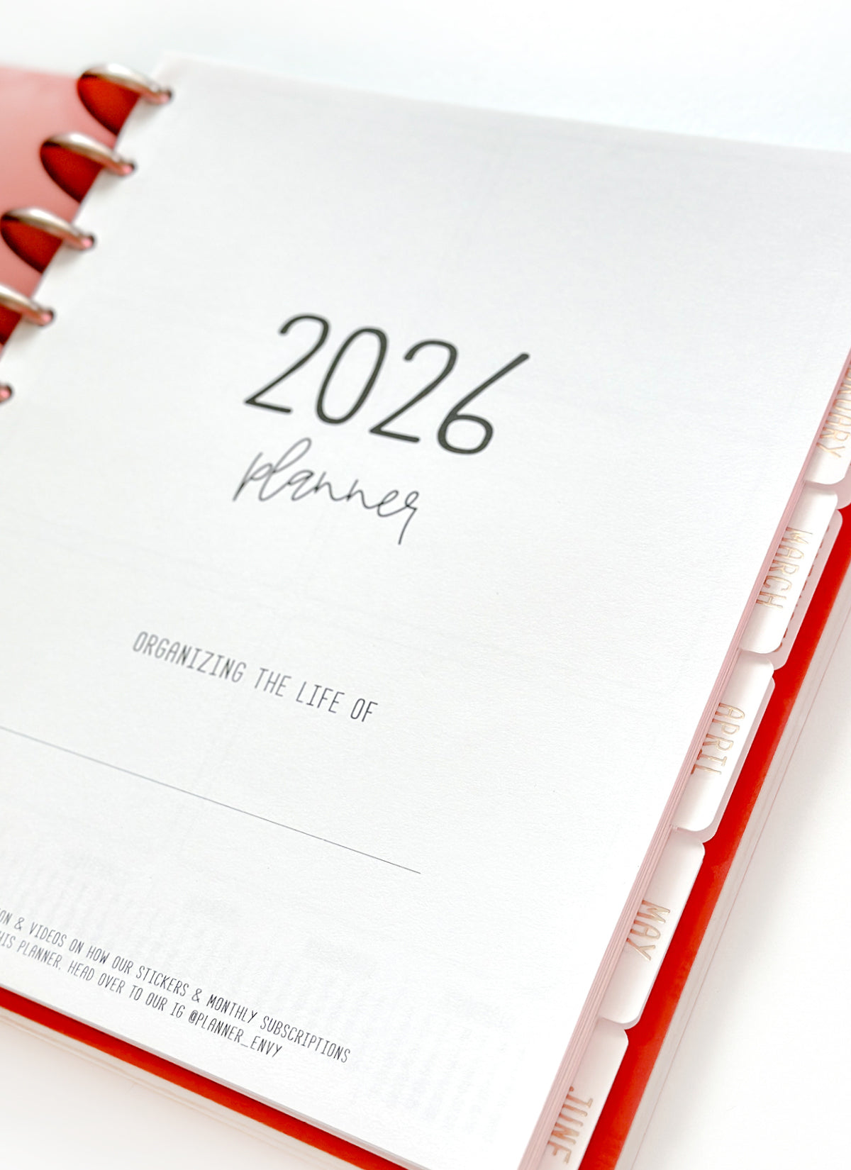 2026 Planner - Signature Layout, Disc Bound - "Whimsical" (#802)