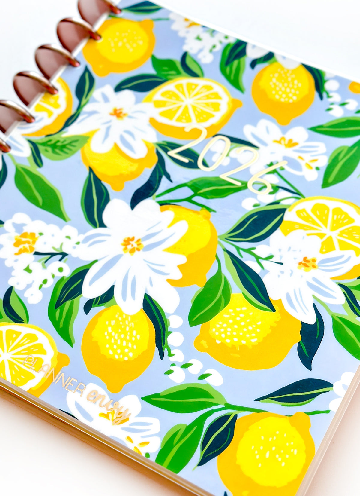 2026 Planner - Horizontal Layout, Disc Bound - "Sorrento" (#701)