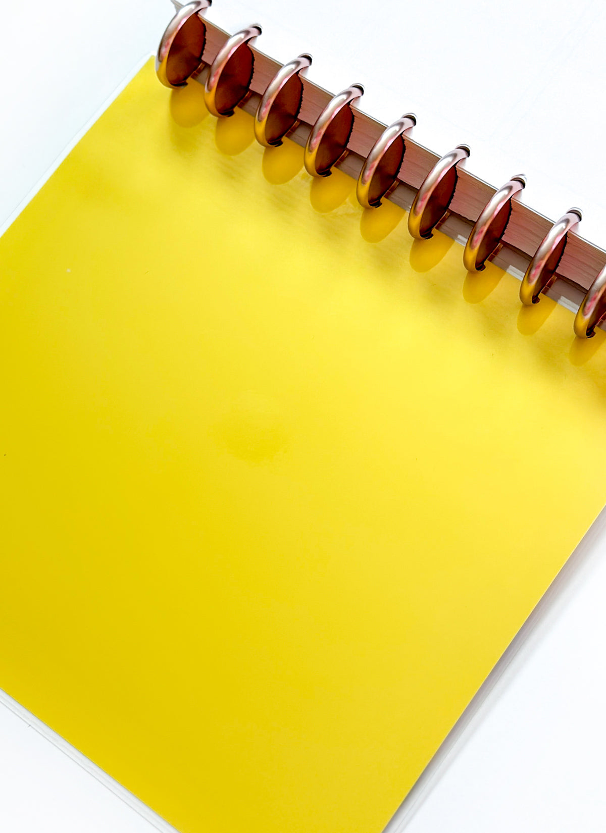 2026 Planner - Vertical Layout, Disc Bound - "Sorrento" (#901)