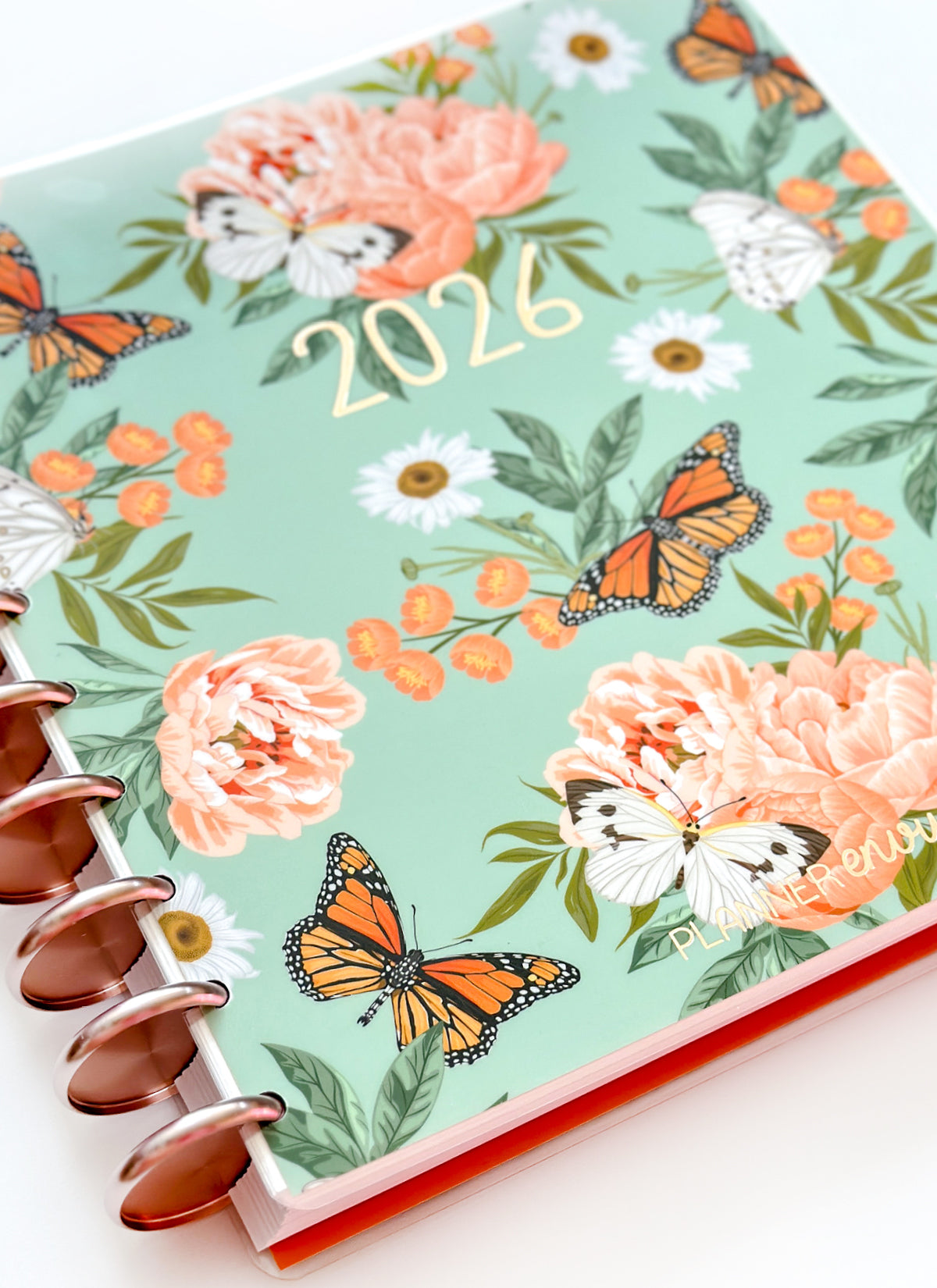 2026 Planner - Horizontal Layout, Disc Bound - "Enchanted" (#705)