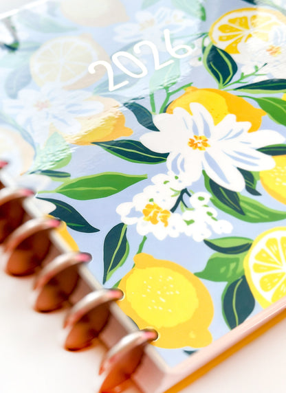 2026 Planner - Vertical Layout, Disc Bound - "Sorrento" (#901)