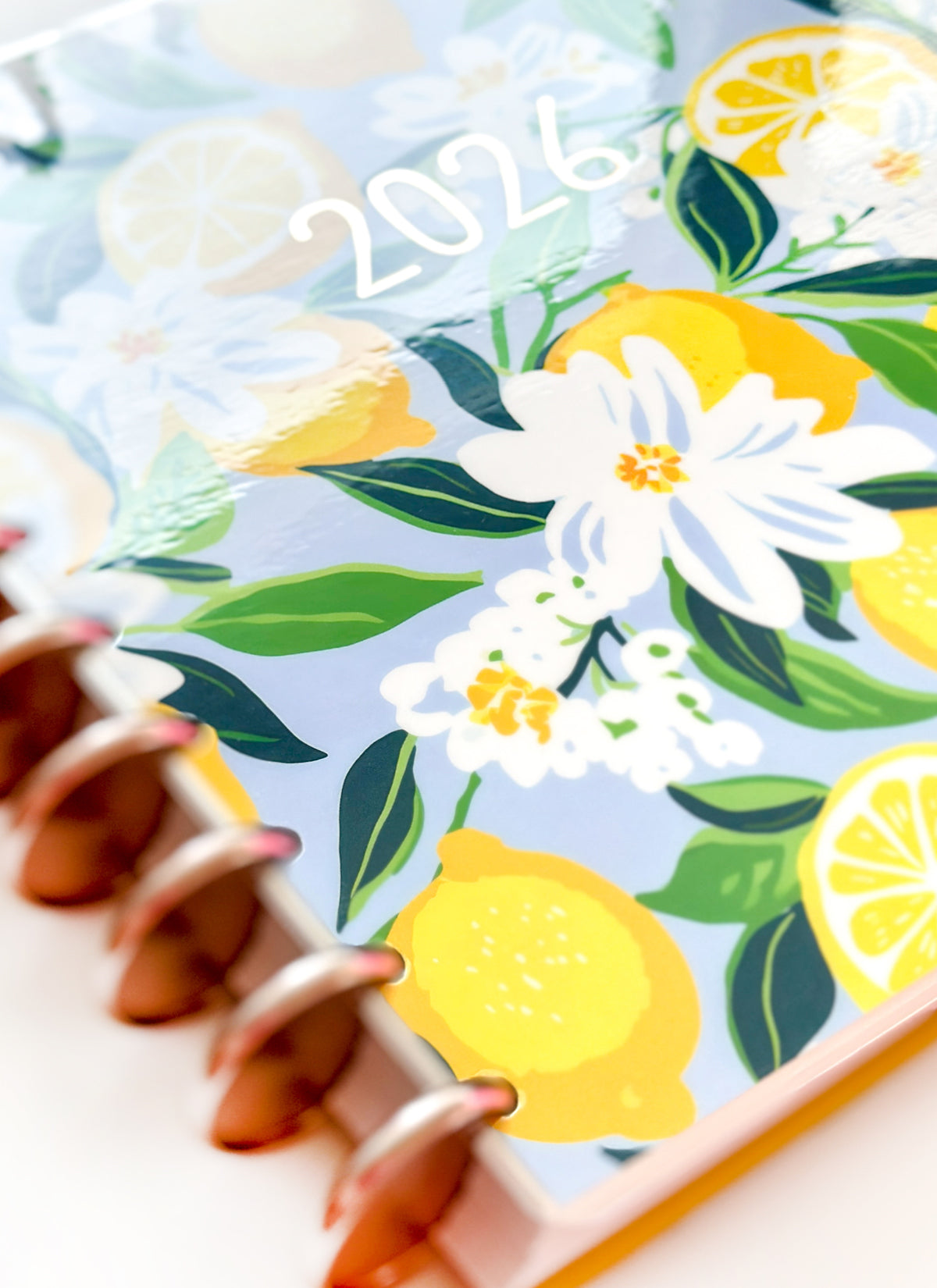 2026 Planner - Signature Layout, Disc Bound - "Sorrento" (#801)