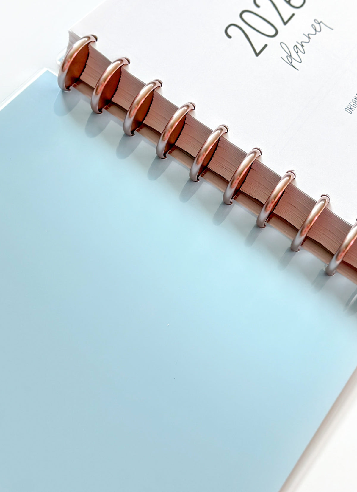 2026 Planner - Signature Layout, Disc Bound - "Paradise" (#804)