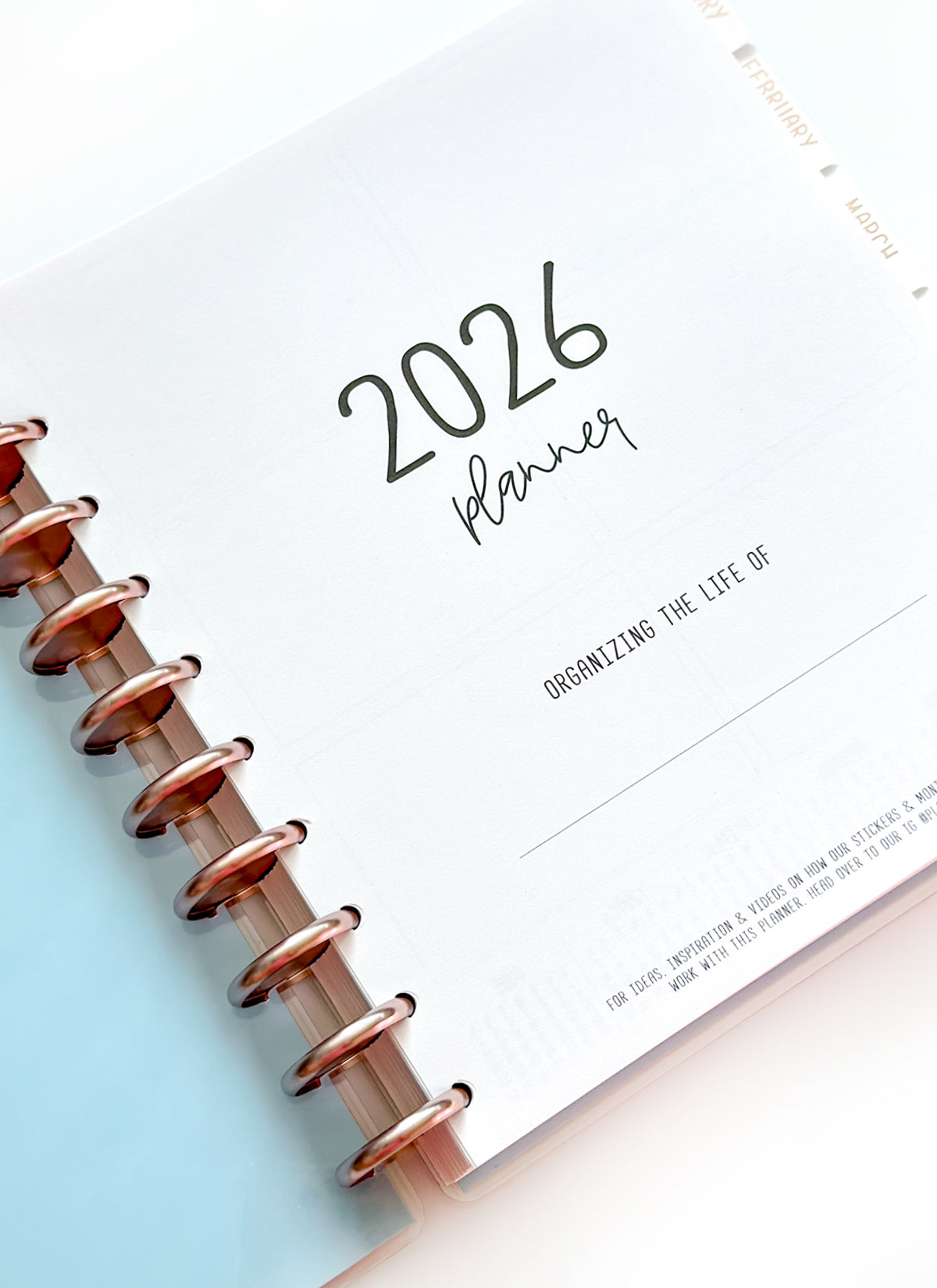 2026 Planner - Signature Layout, Disc Bound - "Paradise" (#804)