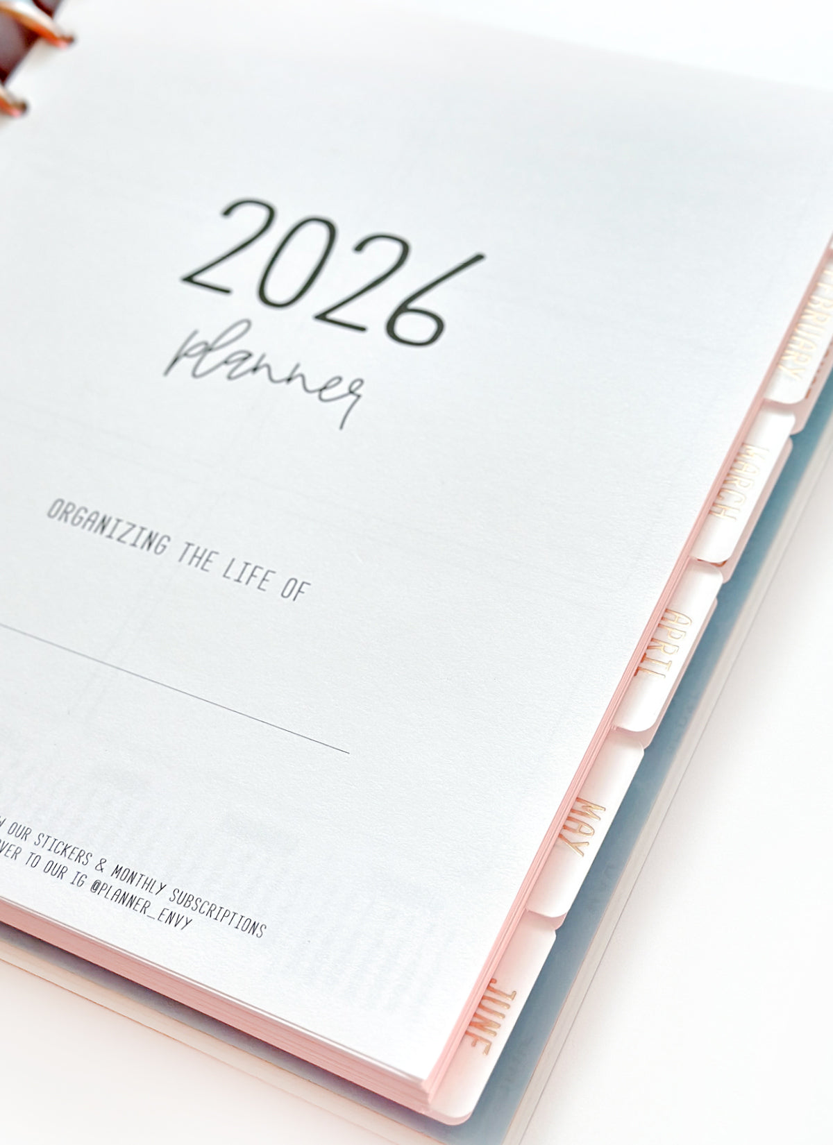 2026 Planner - Vertical Layout, Disc Bound - "Paradise" (#904)