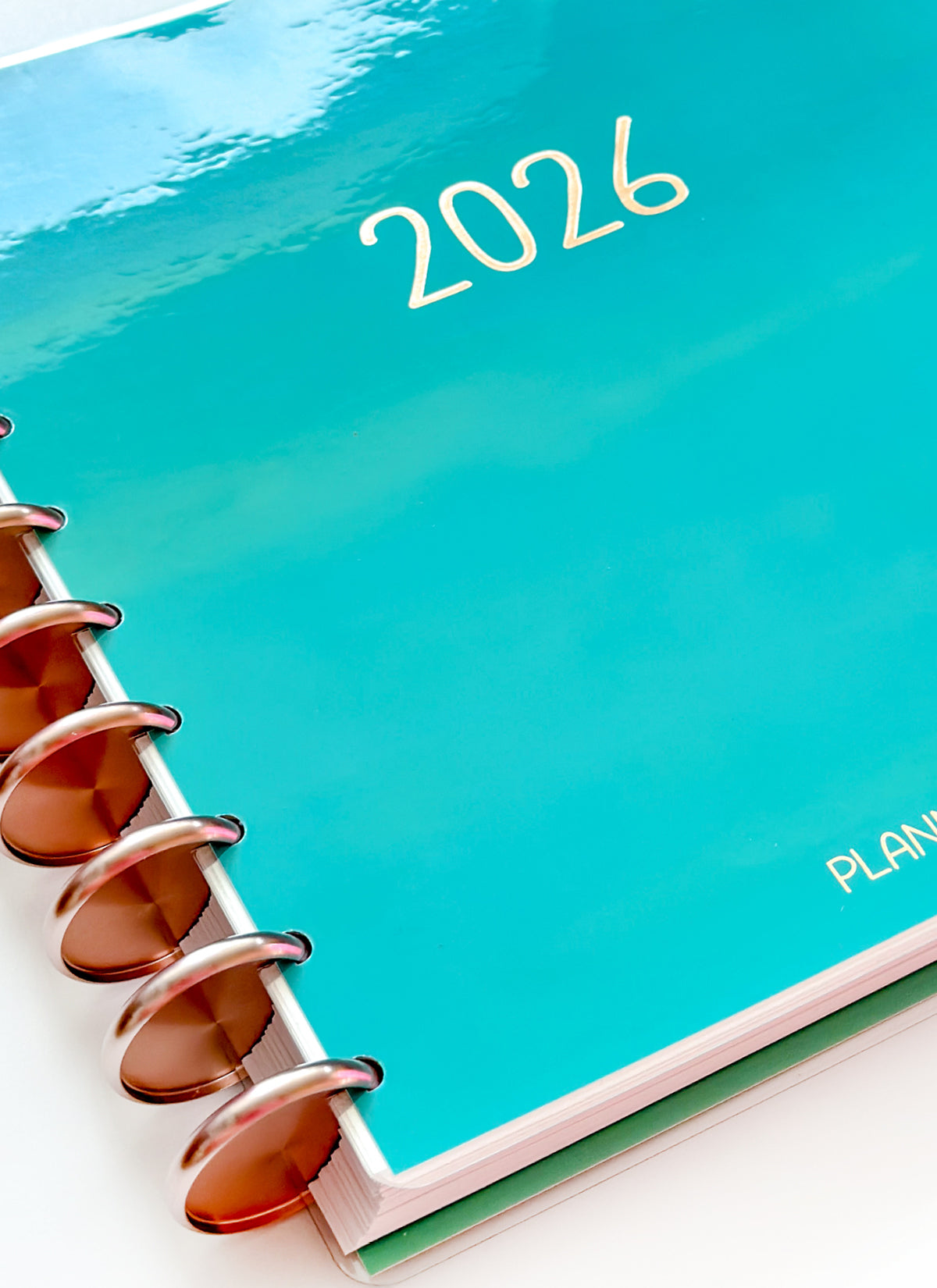 2026 Planner - Vertical Layout, Disc Bound - "Teal" (#908)