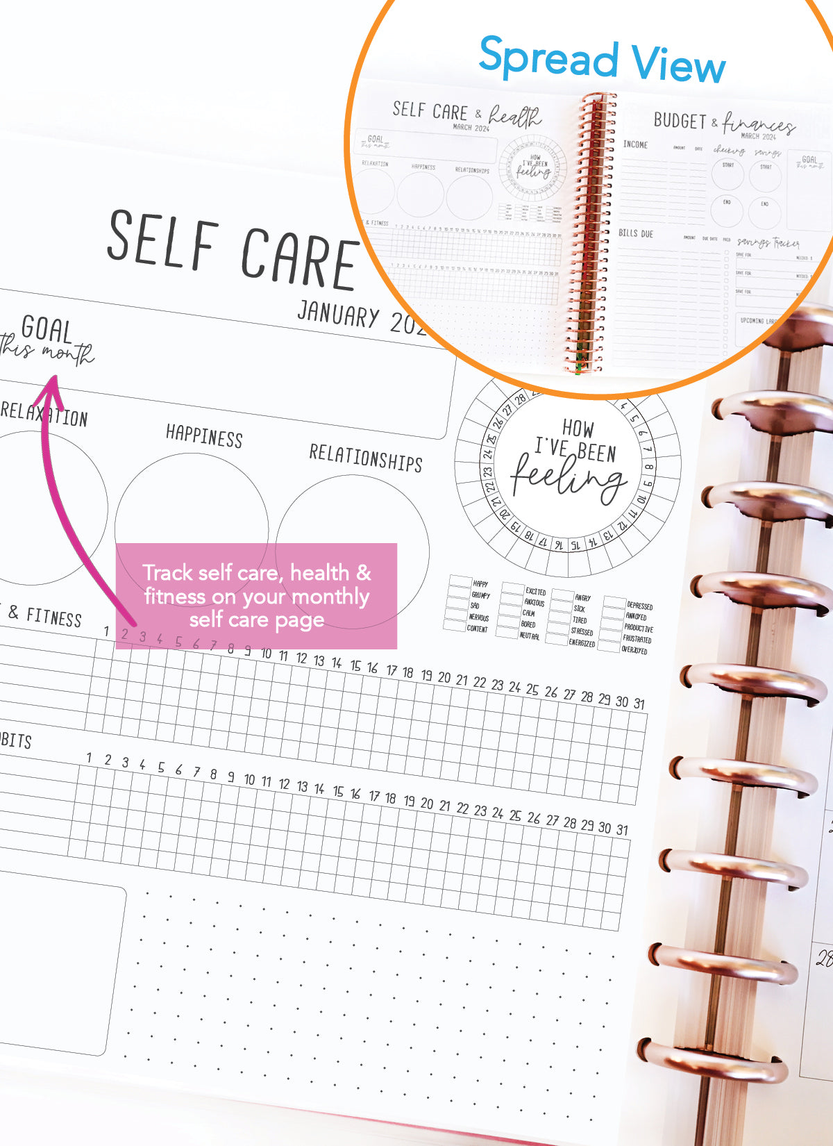 2026 Planner - Vertical Layout, Disc Bound - "Sorrento" (#901)