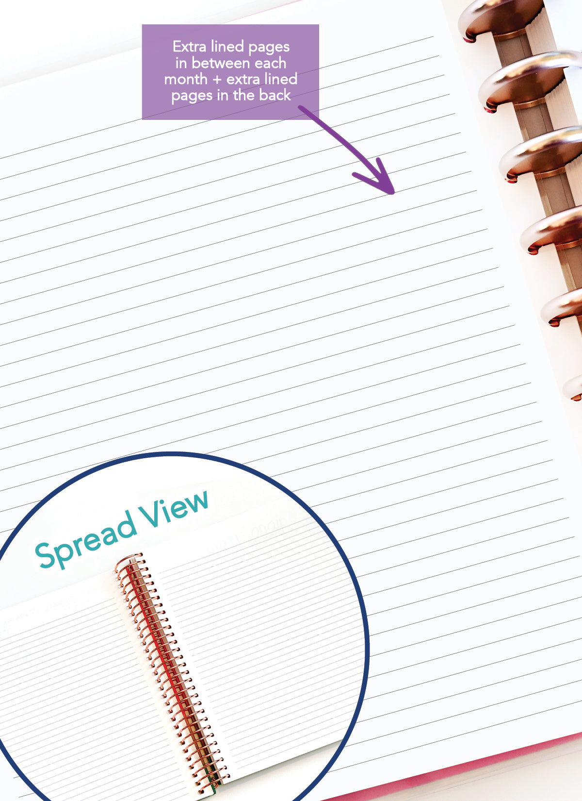 2026 Planner - Signature Layout, Disc Bound - "Sorrento" (#801)