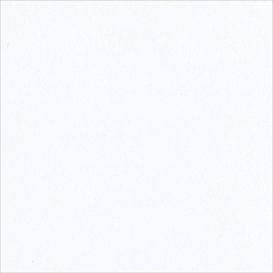 Bazzill Classic Cardstock 12"X12"-White/Smoothies