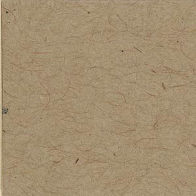 Bazzill Classic Cardstock 12"X12"-Natural/Smoothies