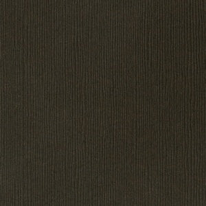 Bazzill Fourz Cardstock 12"X12"-Select Style
