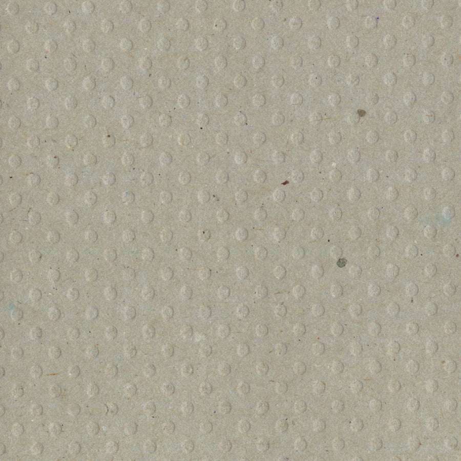 Bazzill Dotted Swiss Cardstock 12"X12"-Select Style