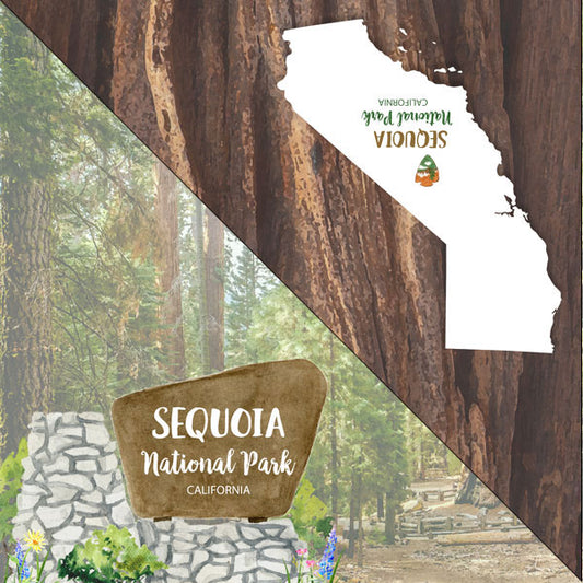 Sequoia National Park Watercolor