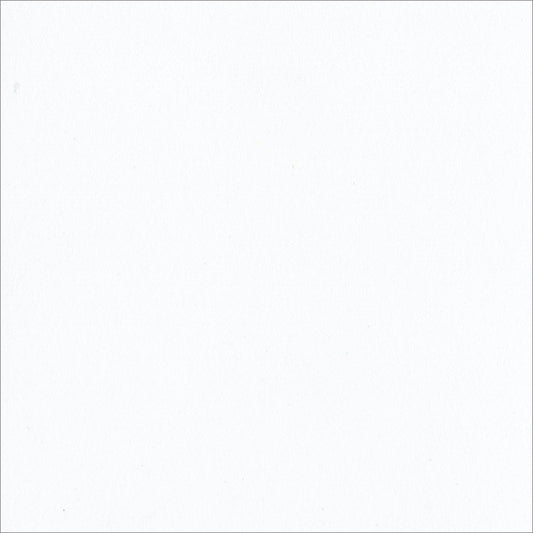 Bazzill Double Thick Smooth Cardstock 12"X12"-White