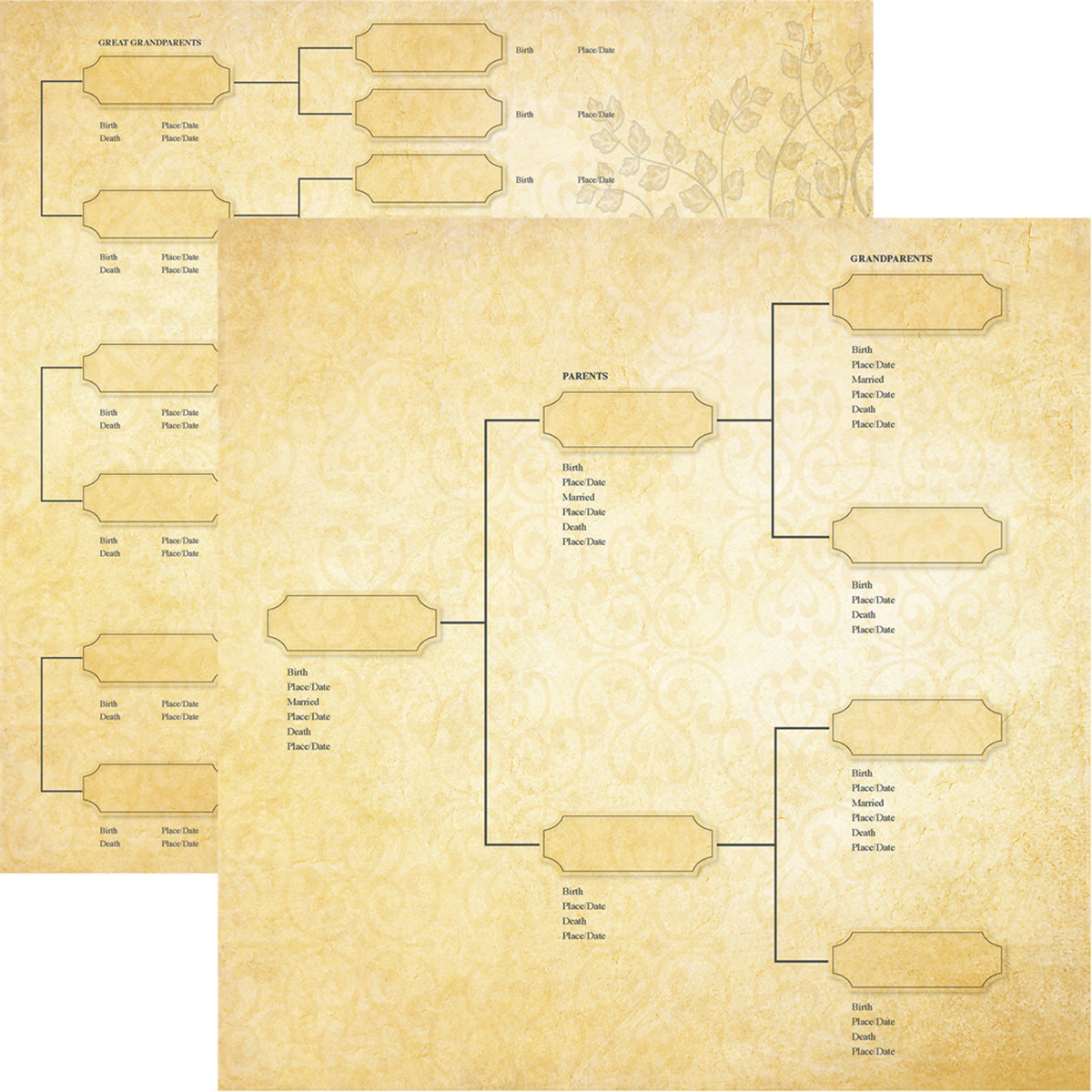 Family Tree Double-Sided Cardstock 12"X12"-Generations
