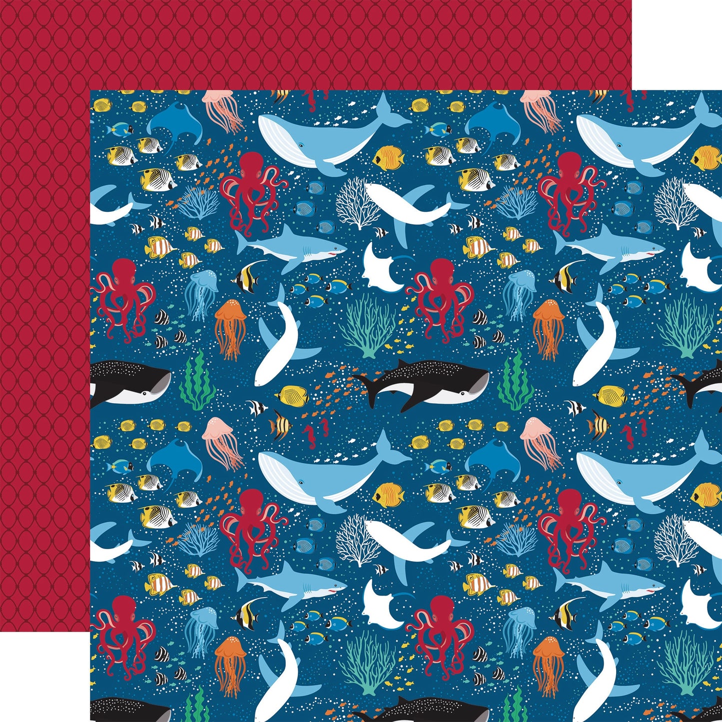 Sea Life Double-Sided Cardstock 12"X12"-Coral Reef