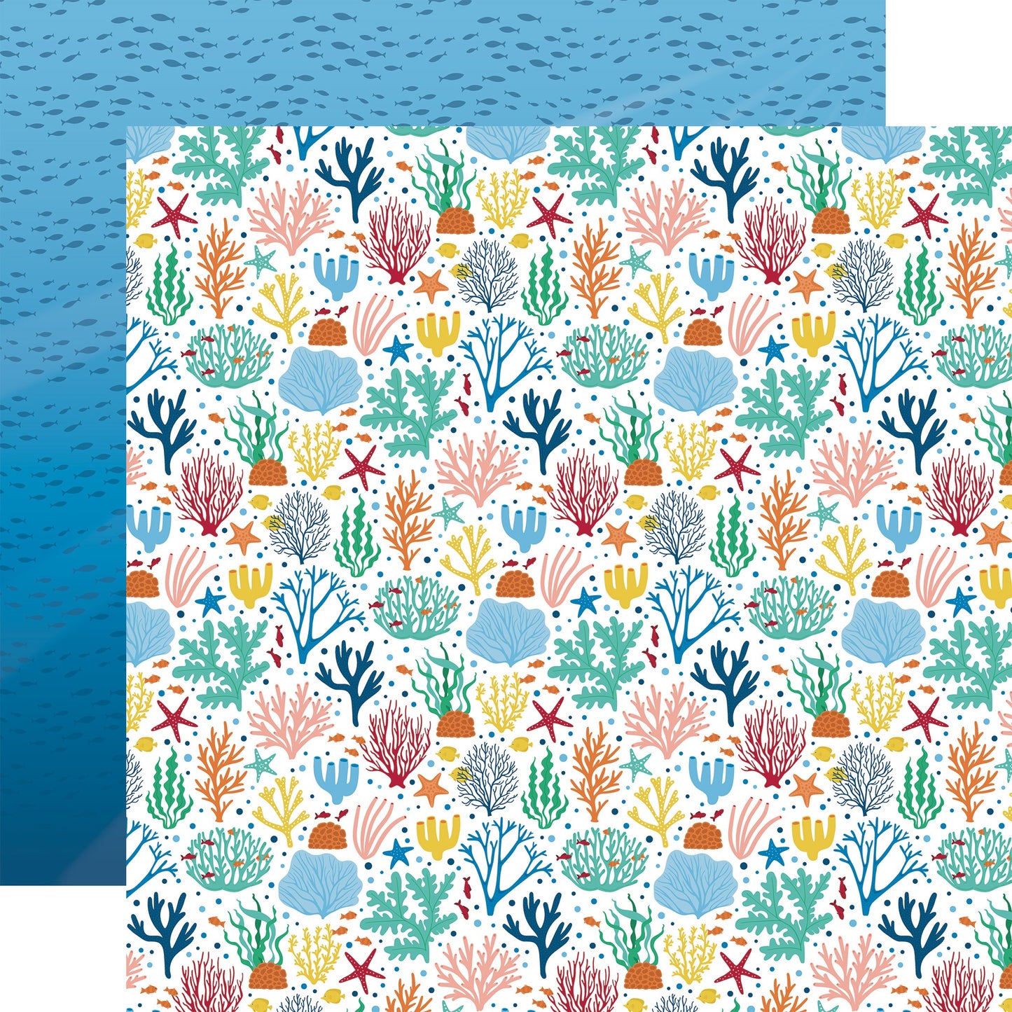 Sea Life Double-Sided Cardstock 12"X12"-Coral Reef