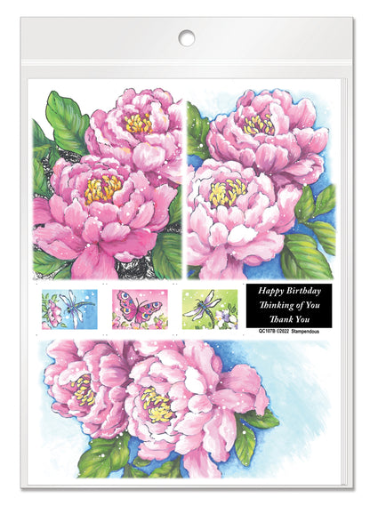 Stampendous Quick Card Panels-Sunny Days