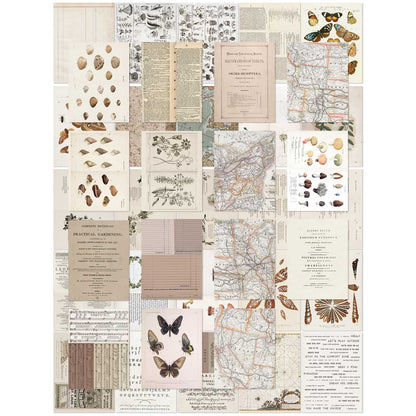 49 And Market Collage Sheets 6"X8" 40/Pkg-Color Swatch: Toast