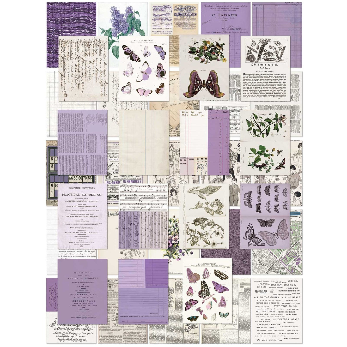 49 And Market Collage Sheets 6"X8" 40/Pkg-Color Swatch: Lavender