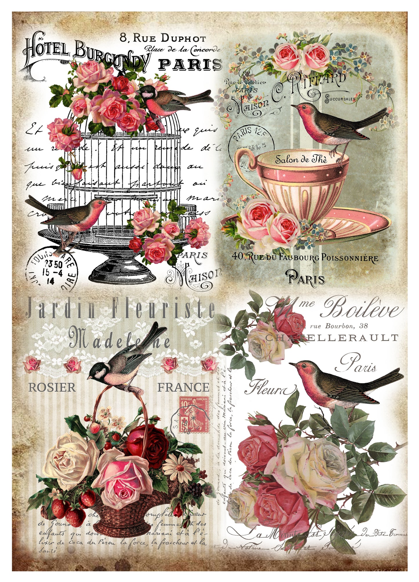 Little Birdie Deco Transfer Sheet A4-Robin And Roses