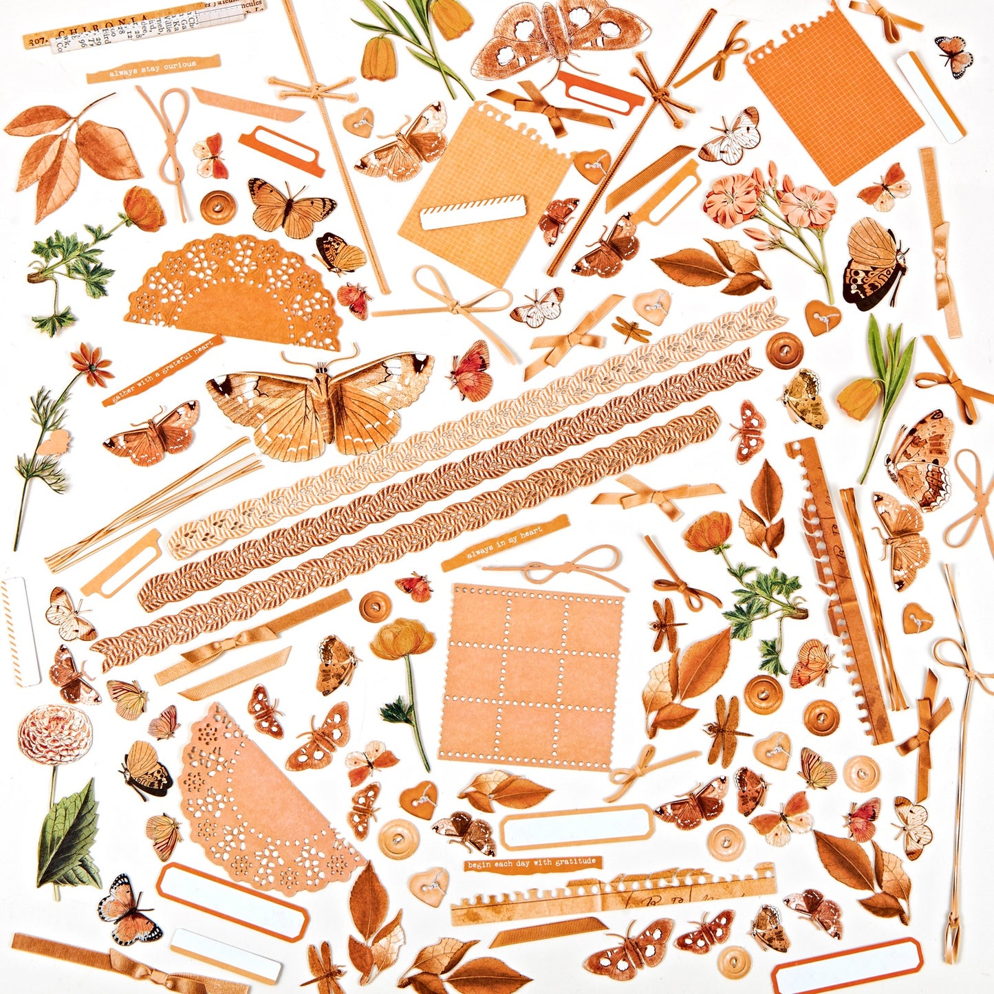 Color Swatch: Peach Laser Cut Outs-Elements