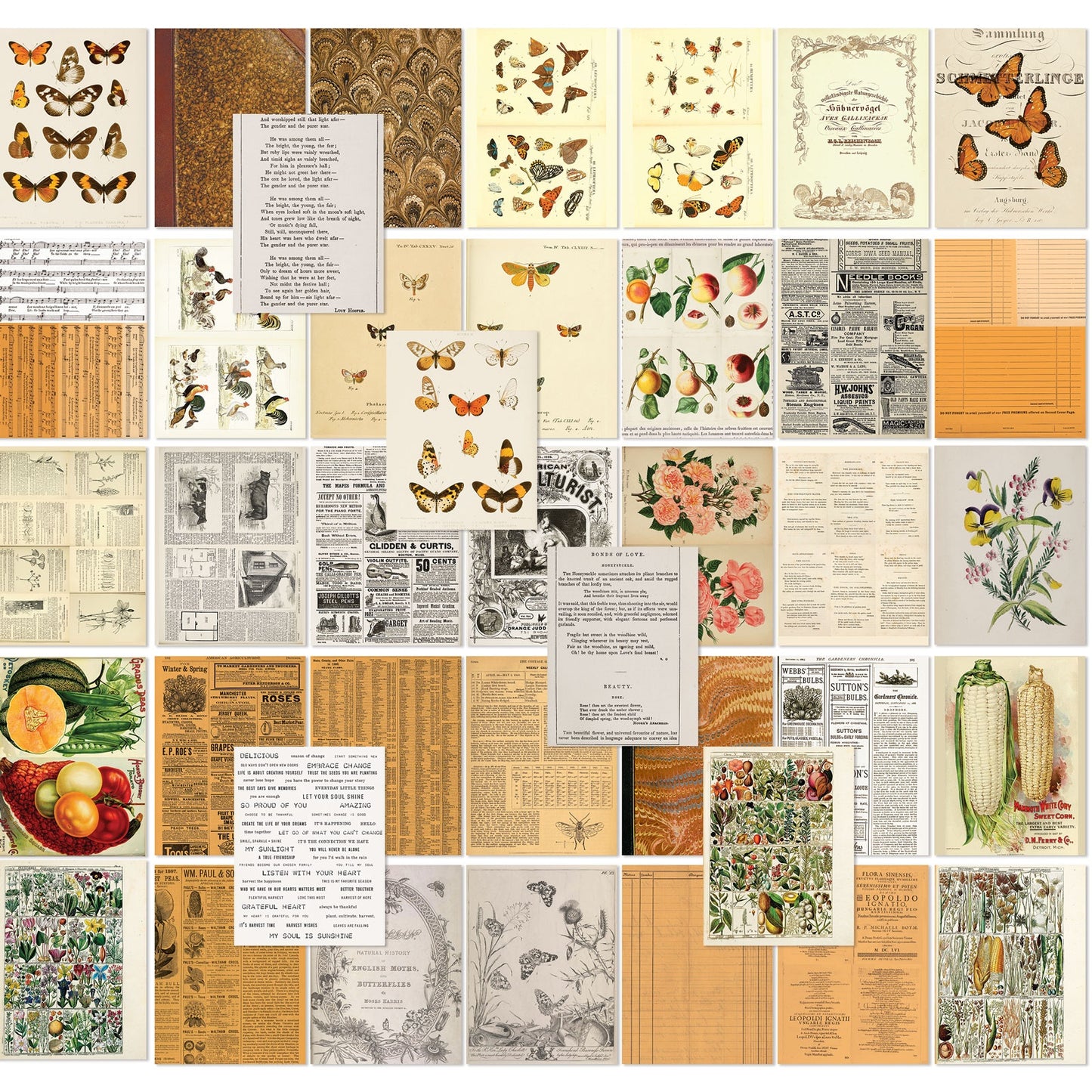 49 And Market Collage Sheets 6"x8" 40/Pkg-Color Swatch: Peach