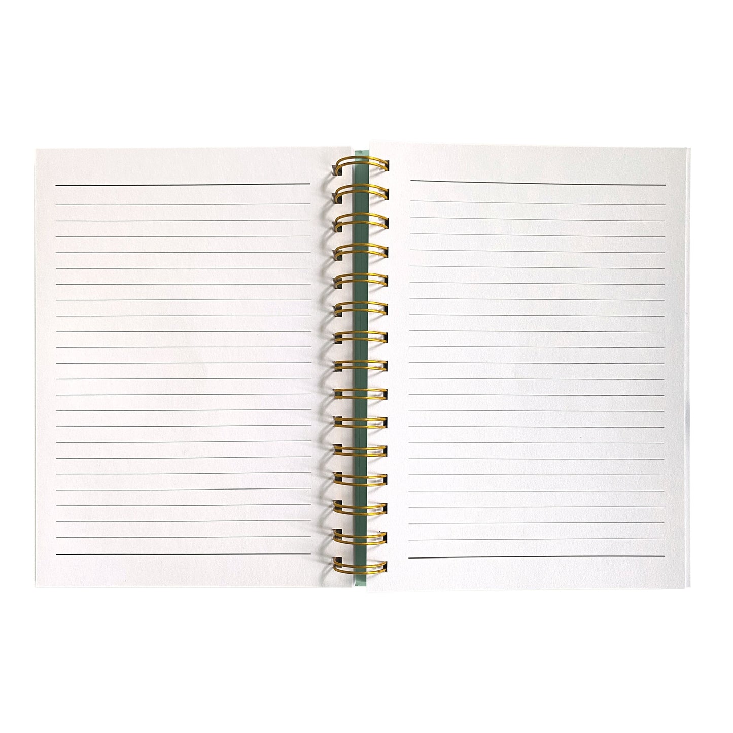 Paper House Spiral Notebook Journal-Rainbow Shelves
