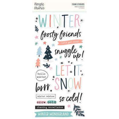 Winter Wonder Foam Stickers 51/Pkg-