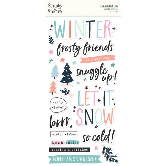 Winter Wonder Foam Stickers 51/Pkg-