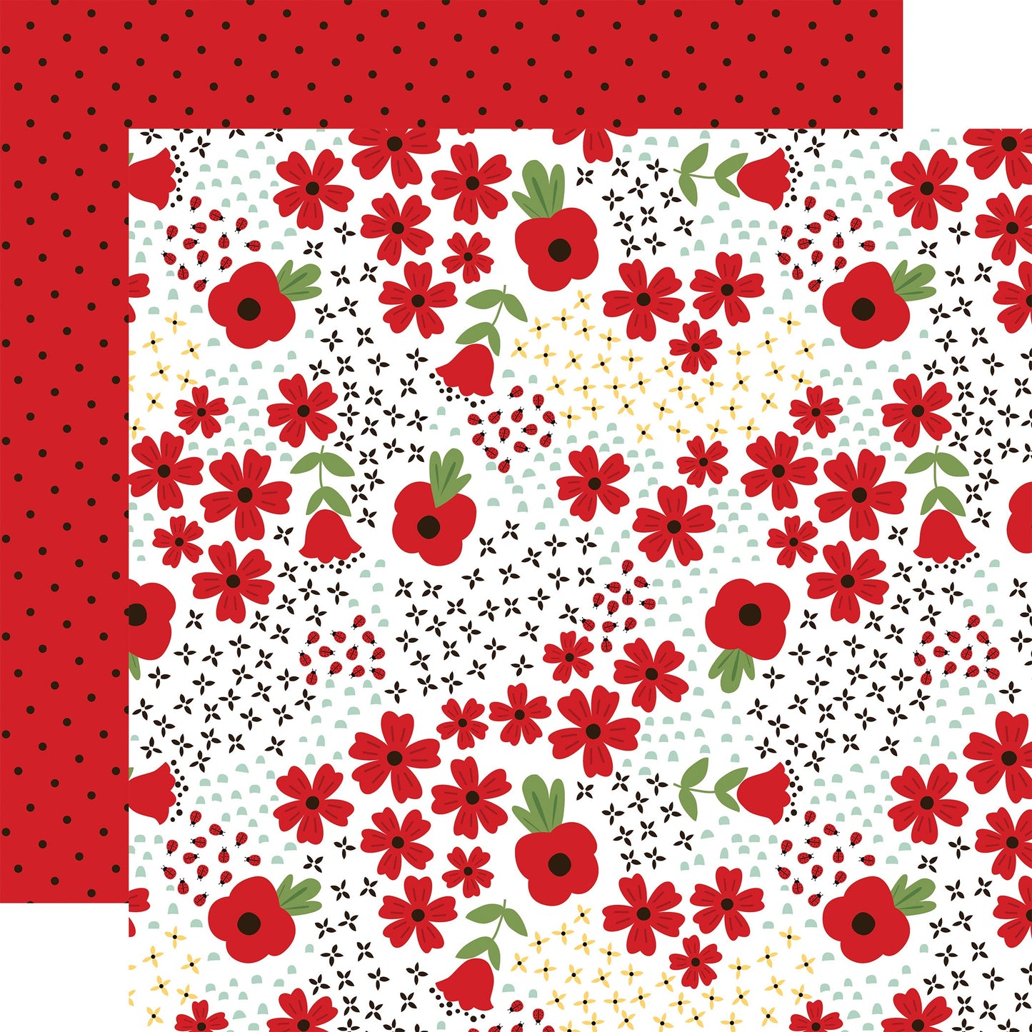 Little Ladybug Double-Sided Cardstock 12"X12"-Cute As A Bug