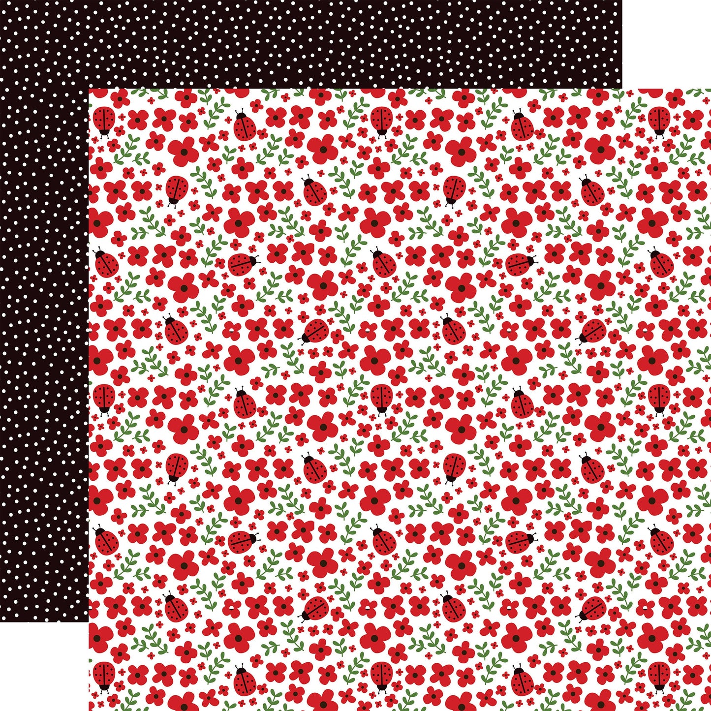 Little Ladybug Double-Sided Cardstock 12"X12"-Cute As A Bug