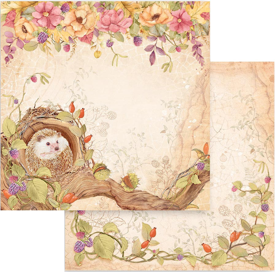 Stamperia Double-Sided Cardstock 12"X12"-Woodland Hedgehog