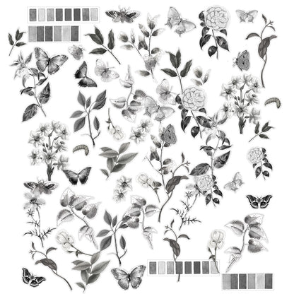 Color Swatch: Charcoal Acetate Assortment-