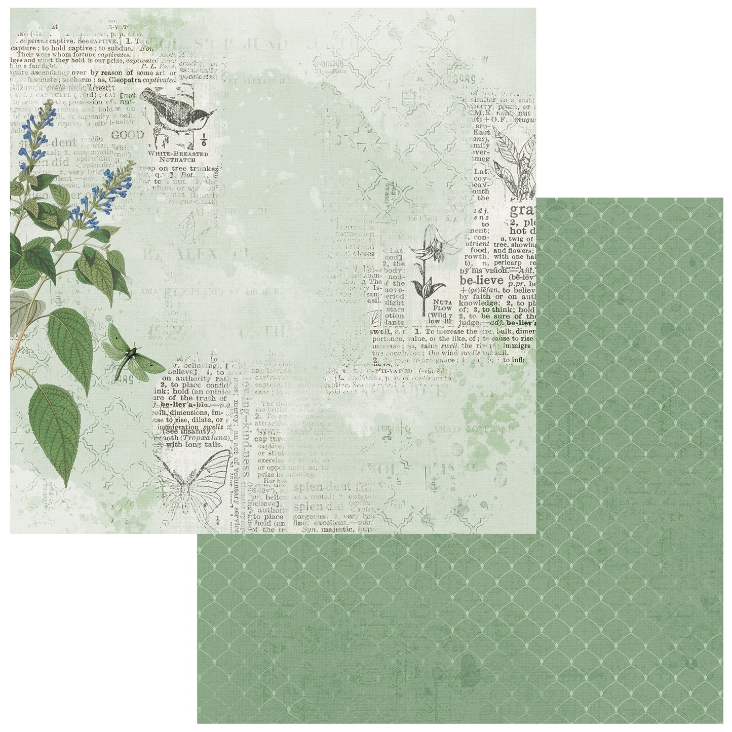 Color Swatch: Willow Double-Sided Cardstock 12"X12"-Select Style