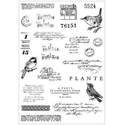 Sizzix A5 Clear Stamps With Framelits Die By 49 And Market-Bird Song