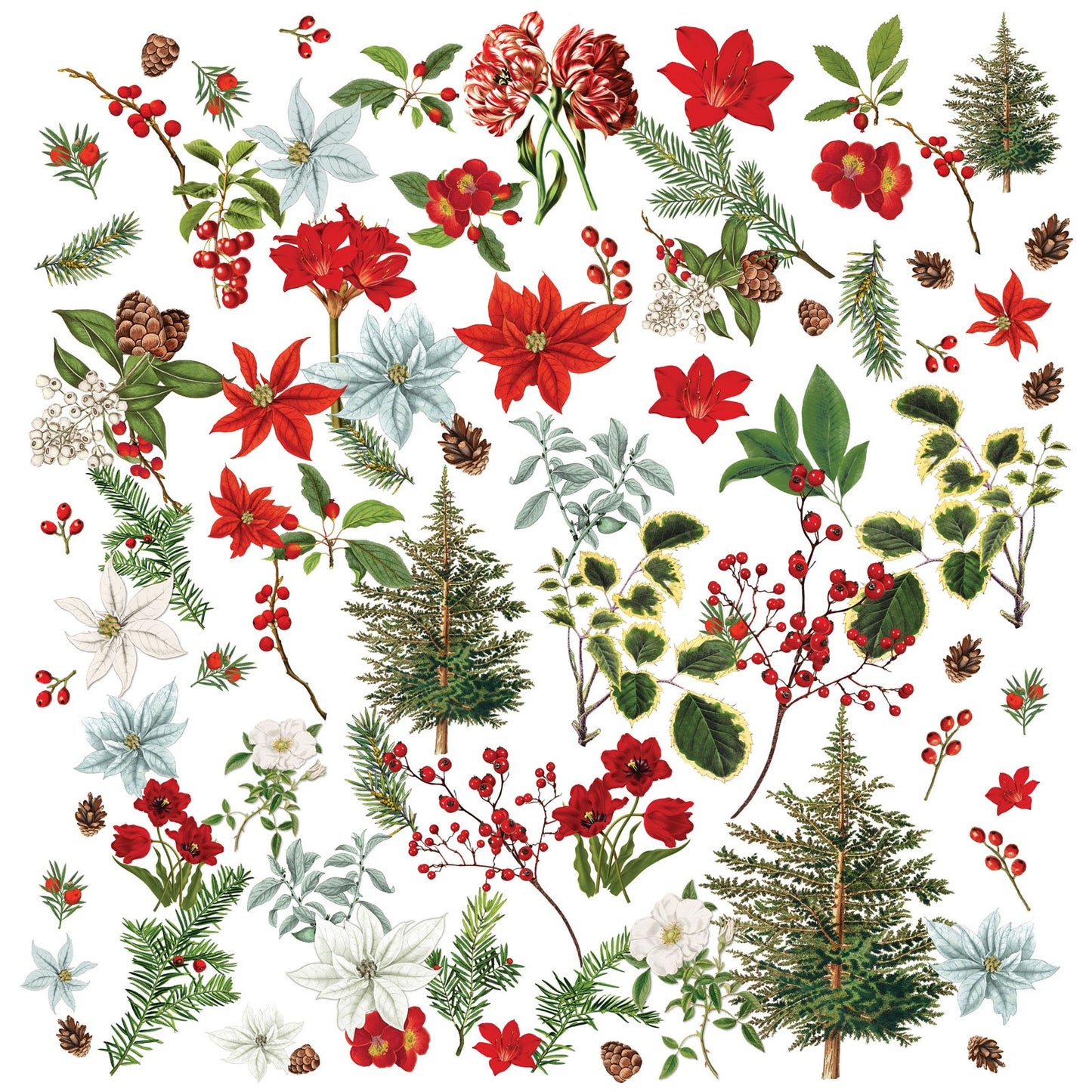 49 And Market Laser Cut Outs-Wildflowers, Evergreen Season