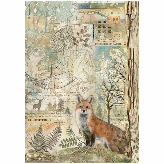 Stamperia Rice Paper Sheet A4-Forest Fox