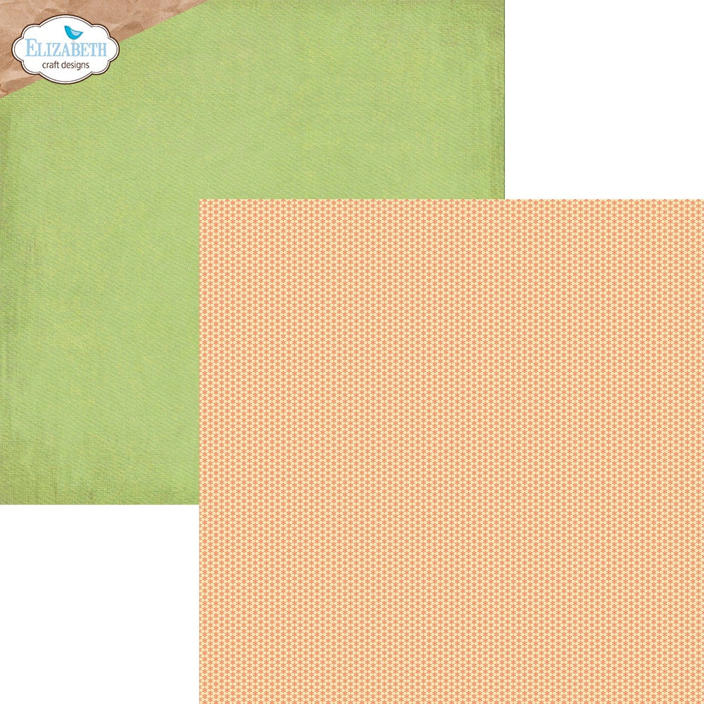 Elizabeth Craft Double-Sided Cardstock Pack 12"X12"-Colorful Collective, Sunny Days