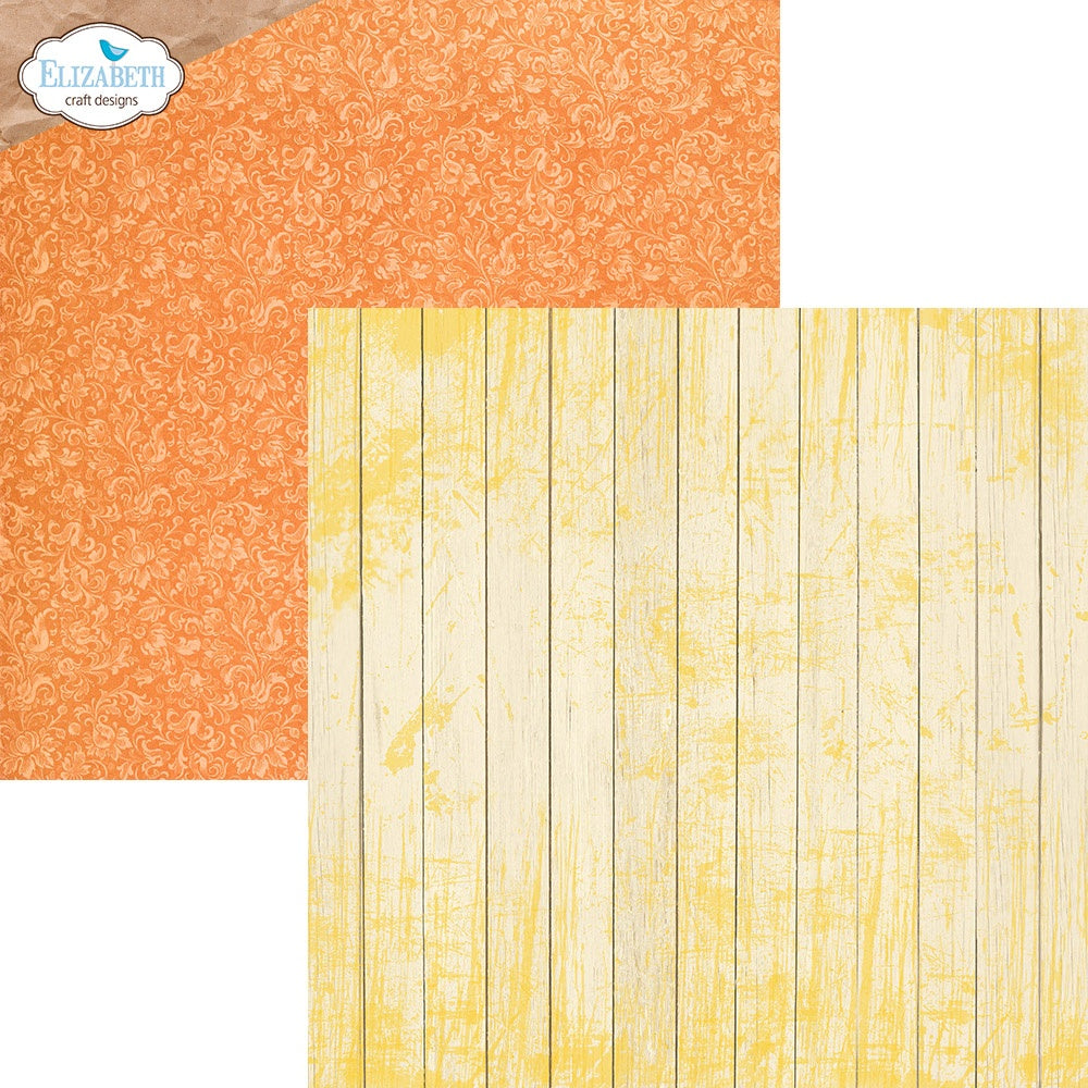 Elizabeth Craft Double-Sided Cardstock Pack 12"X12"-Colorful Collective, Sunny Days