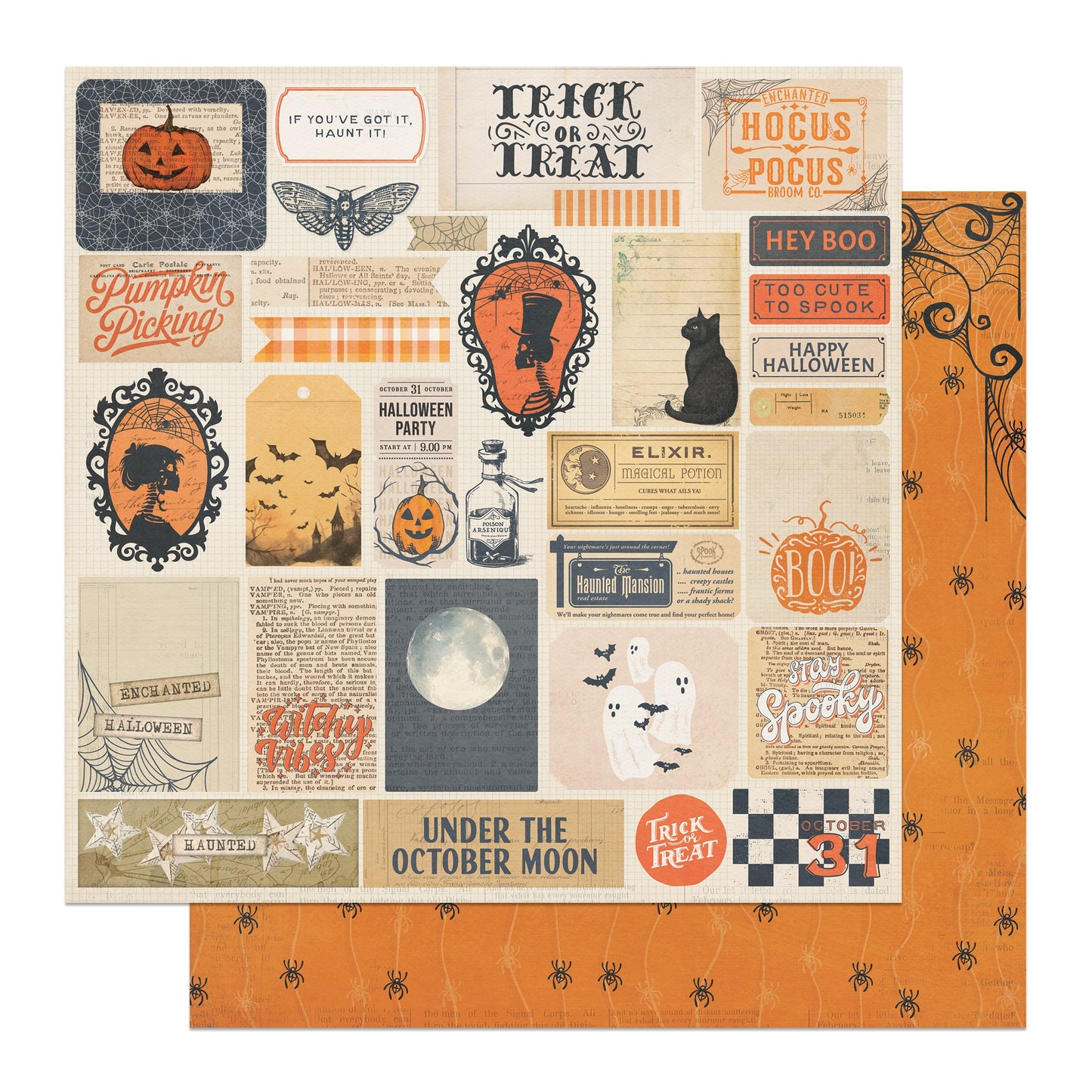 Halloween Junque Double-Sided Cardstock 12"X12"-Select Style