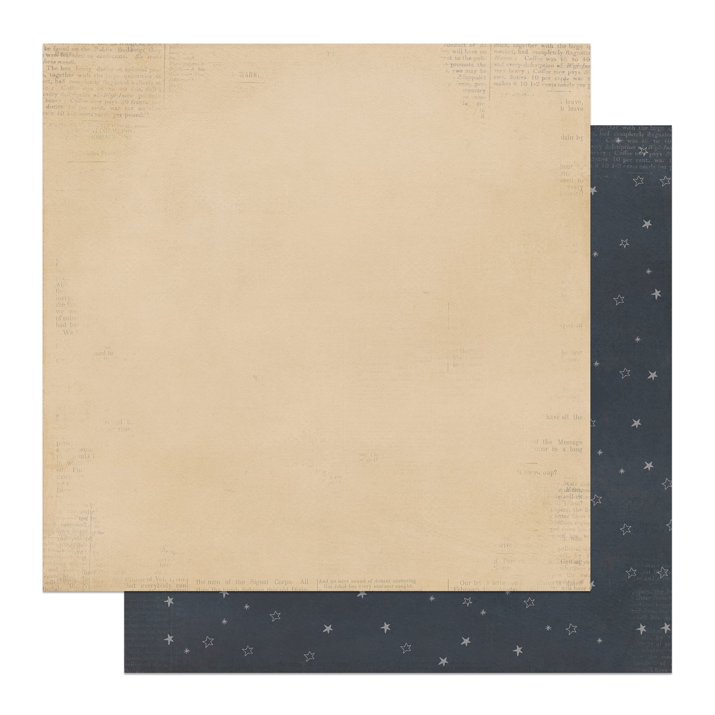Halloween Junque Double-Sided Cardstock 12"X12"-Select Style